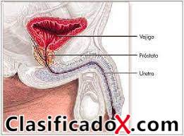 ClasificadoX - Anuncios clasificados relax y contenido erótico