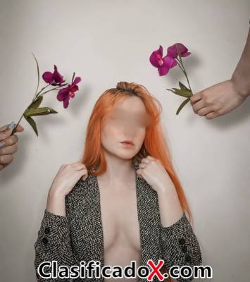 ClasificadoX - Anuncios clasificados relax y contenido erótico