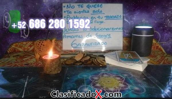 ClasificadoX - Anuncios clasificados relax y contenido erótico