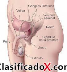 ClasificadoX - Anuncios clasificados relax y contenido erótico