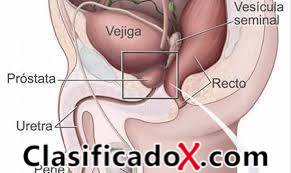 ClasificadoX - Anuncios clasificados relax y contenido erótico