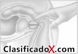 ClasificadoX - Anuncios clasificados relax y contenido erótico