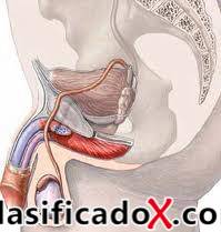 ClasificadoX - Anuncios clasificados relax y contenido erótico