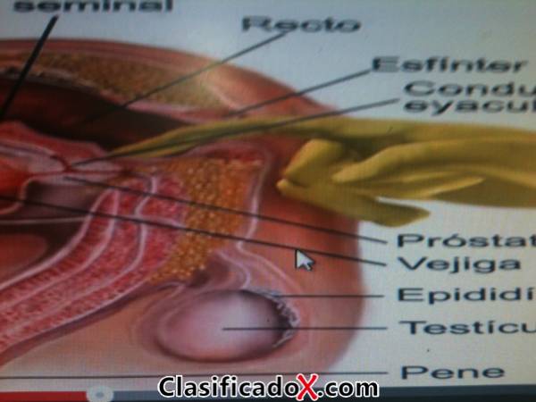 ClasificadoX - Anuncios clasificados relax y contenido erótico