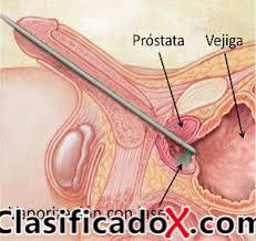 ClasificadoX - Anuncios clasificados relax y contenido erótico