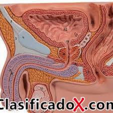 ClasificadoX - Anuncios clasificados relax y contenido erótico