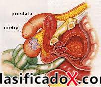 ClasificadoX - Anuncios clasificados relax y contenido erótico