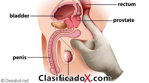 ClasificadoX - Anuncios clasificados relax y contenido erótico