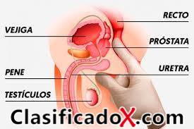 ClasificadoX - Anuncios clasificados relax y contenido erótico