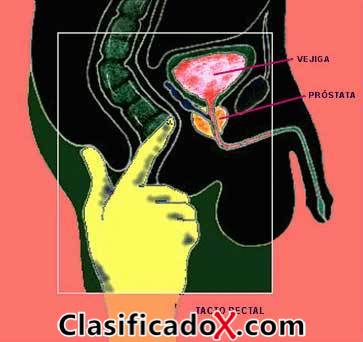 ClasificadoX - Anuncios clasificados relax y contenido erótico