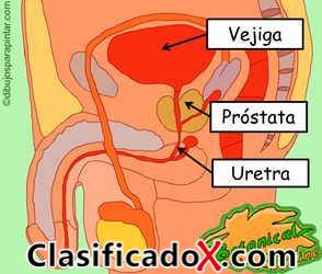 ClasificadoX - Anuncios clasificados relax y contenido erótico