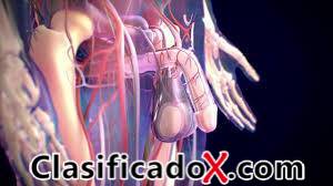 ClasificadoX - Anuncios clasificados relax y contenido erótico