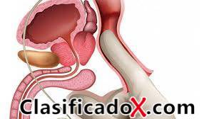 ClasificadoX - Anuncios clasificados relax y contenido erótico