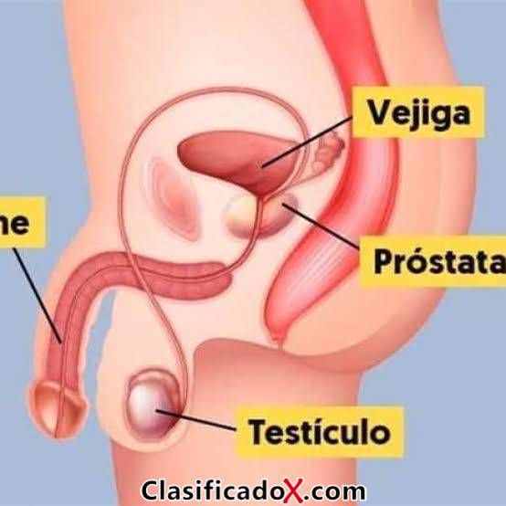 ClasificadoX - Anuncios clasificados relax y contenido erótico