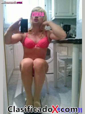 ClasificadoX - Anuncios clasificados relax y contenido erótico