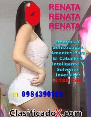 ClasificadoX - Anuncios clasificados relax y contenido erótico