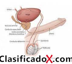 ClasificadoX - Anuncios clasificados relax y contenido erótico