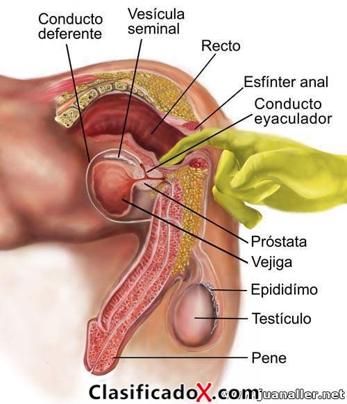 ClasificadoX - Anuncios clasificados relax y contenido erótico