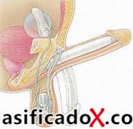 ClasificadoX - Anuncios clasificados relax y contenido erótico