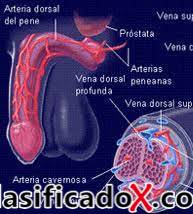 ClasificadoX - Anuncios clasificados relax y contenido erótico