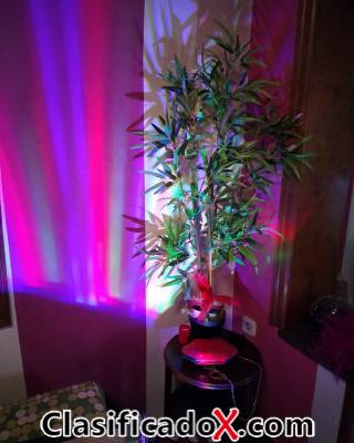 ClasificadoX - Anuncios clasificados relax y contenido erótico