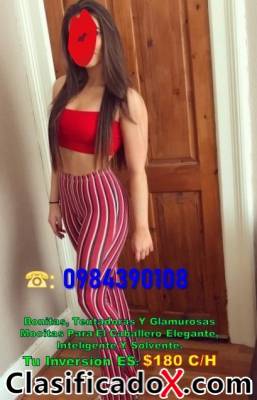 ClasificadoX - Anuncios clasificados relax y contenido erótico