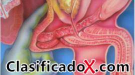 ClasificadoX - Anuncios clasificados relax y contenido erótico