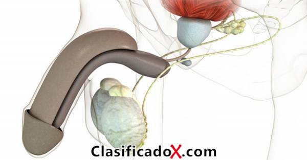 ClasificadoX - Anuncios clasificados relax y contenido erótico