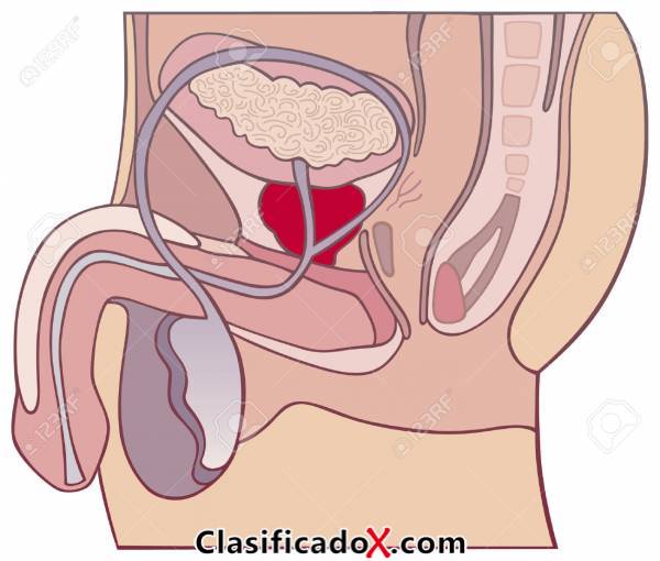ClasificadoX - Anuncios clasificados relax y contenido erótico