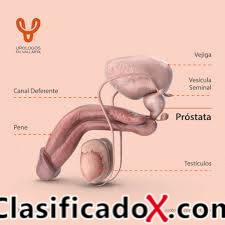 ClasificadoX - Anuncios clasificados relax y contenido erótico