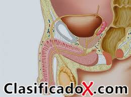 ClasificadoX - Anuncios clasificados relax y contenido erótico