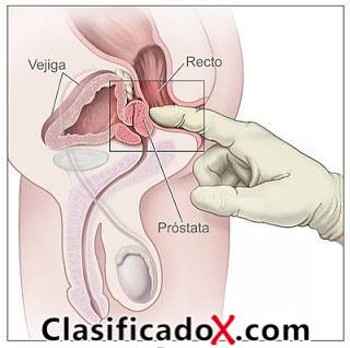 ClasificadoX - Anuncios clasificados relax y contenido erótico