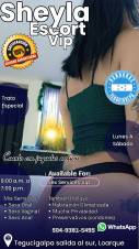 Tú Chica Escort VIP Sheyla 504-9381-5495