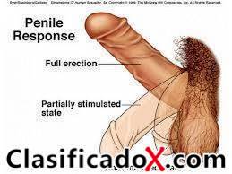 ClasificadoX - Anuncios clasificados relax y contenido erótico
