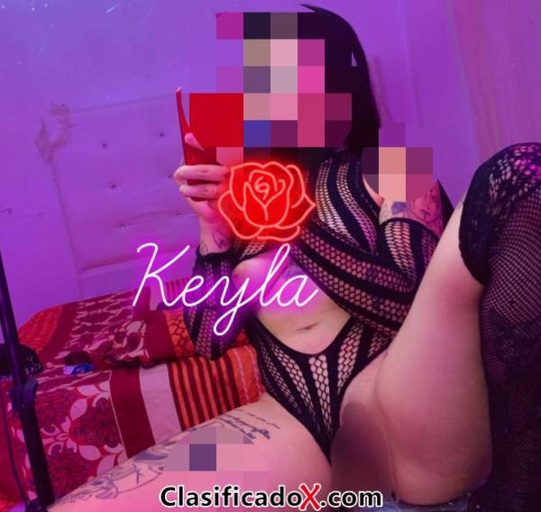 ClasificadoX - Anuncios clasificados relax y contenido erótico
