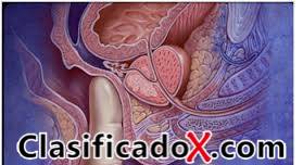 ClasificadoX - Anuncios clasificados relax y contenido erótico