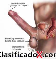 ClasificadoX - Anuncios clasificados relax y contenido erótico