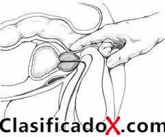 ClasificadoX - Anuncios clasificados relax y contenido erótico
