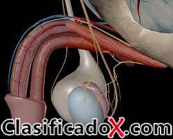 ClasificadoX - Anuncios clasificados relax y contenido erótico