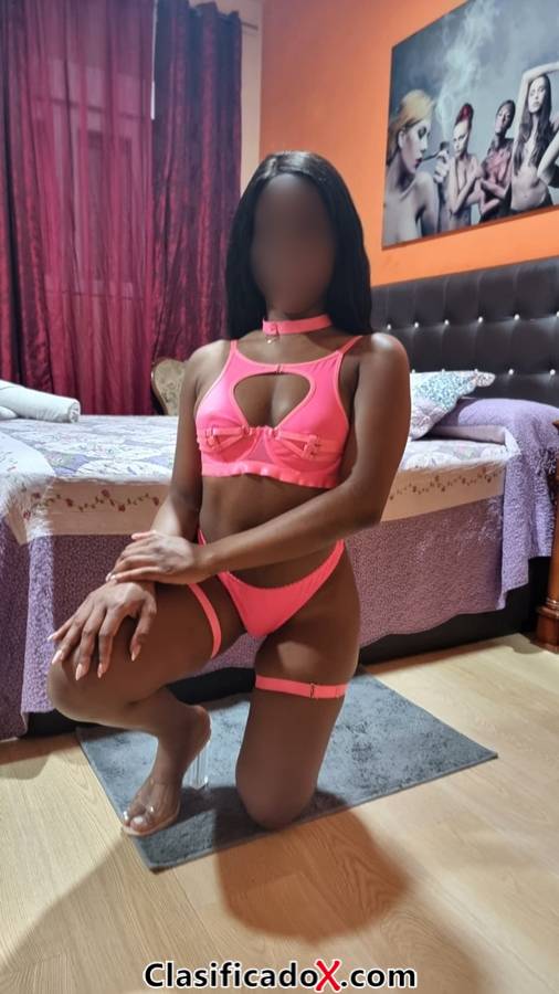 Vanessa colombiana exotica