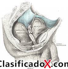 ClasificadoX - Anuncios clasificados relax y contenido erótico