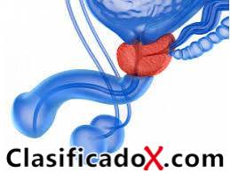 ClasificadoX - Anuncios clasificados relax y contenido erótico
