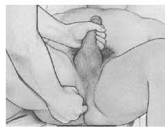 erecsiones  duraders  con este  masje prostatico   garantizado