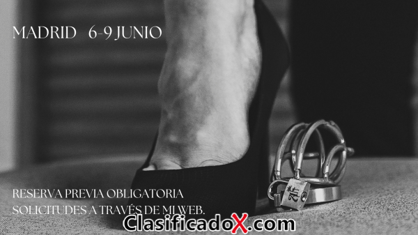 ClasificadoX - Anuncios clasificados relax y contenido erótico