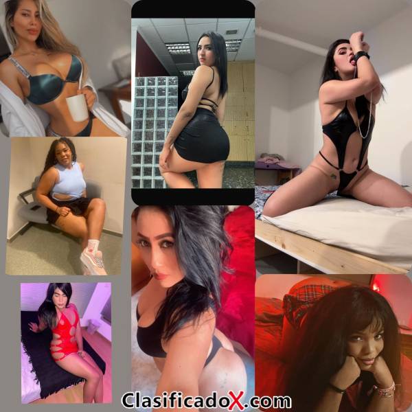 ClasificadoX - Anuncios clasificados relax y contenido erótico