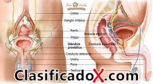 ClasificadoX - Anuncios clasificados relax y contenido erótico