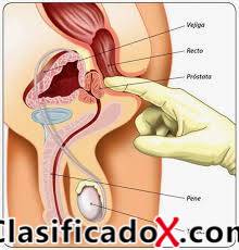 ClasificadoX - Anuncios clasificados relax y contenido erótico