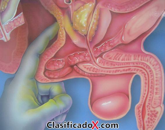 ClasificadoX - Anuncios clasificados relax y contenido erótico