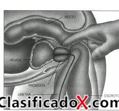 ClasificadoX - Anuncios clasificados relax y contenido erótico