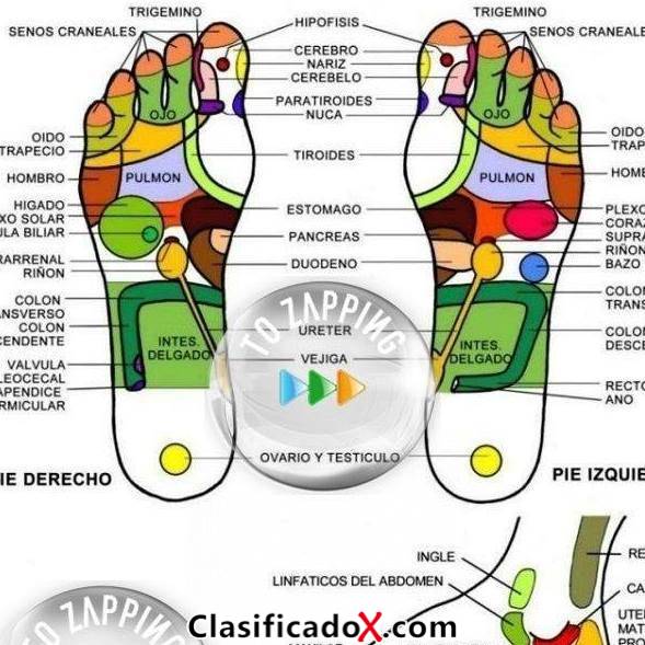 ClasificadoX - Anuncios clasificados relax y contenido erótico